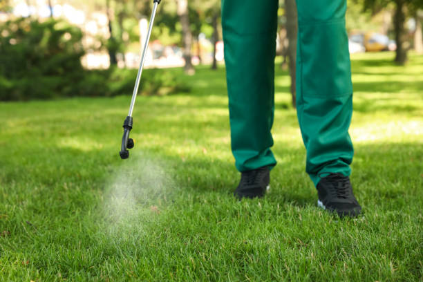 Best Wasp Removal Services  in Henderson, NV